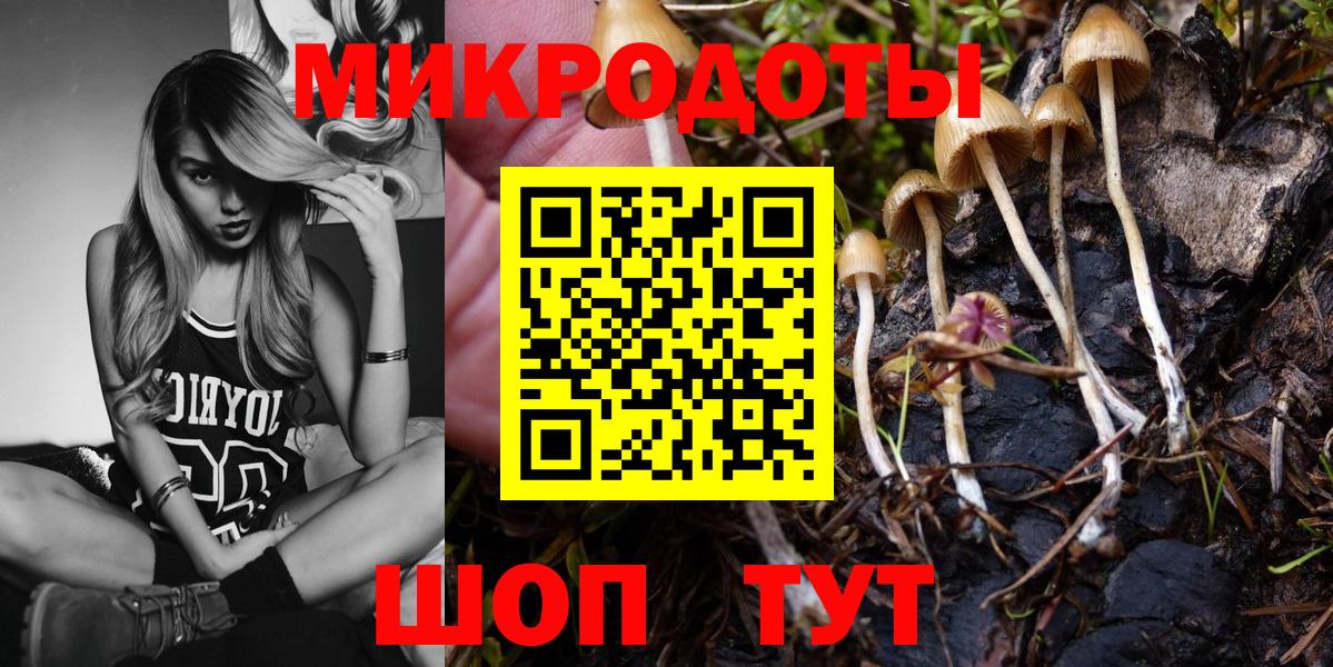 Псилоцибиновые грибы GOLDEN TEACHER Улан-Удэ